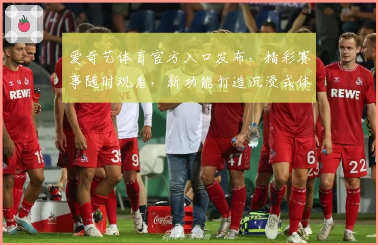 爱奇艺体育官方入口发布，精彩赛事随时观看，新功能打造沉浸式体验